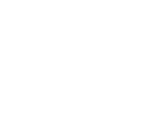 invertiertes Logo Thomas Klehr-Haider, Digital Allrounder